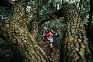 BIB: 
                            <button type="button" onclick="openModal(25392917)" class="btn btn-primary btn-sm float-right btn-popup" data-toggle="modal" data-target=".modal-high-quality">
                        <i class="fas fa-shopping-cart"></i> Add to Cart
                    </button>
                                            <button type="button" onclick="isThisMe(25392917, true)" class="btn btn-success btn-sm float-right btn-popup btn-isme hidden" data-toggle="tooltip" data-placement="bottom" title="นี่คือรูปของคุณใช่ไหม คลิกที่นี่เพื่อเอาเข้าอัลบั้ม">
                        <i class="fas fa-plus"></i> Add to album
                    </button>
                    <button type="button" onclick="isThisMe(25392917, false)" class="btn btn-warning btn-sm float-right btn-popup btn-isnotme hidden">
                        <i class="fas fa-ban"></i> Remove from album
                    </button>